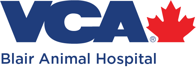 Blair Animal Hospital